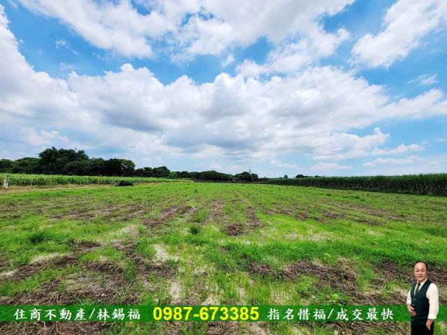 台南善化農地-5