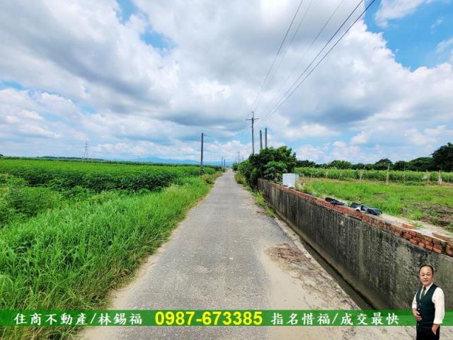 台南善化農地-6