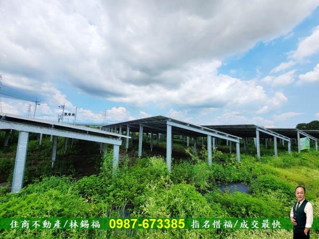 台南善化農地-8