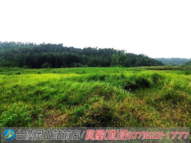 高雄內門農地-7