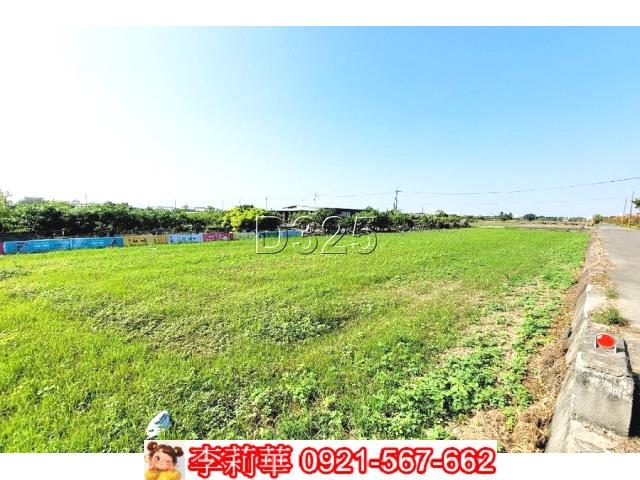 台南西港農地-3