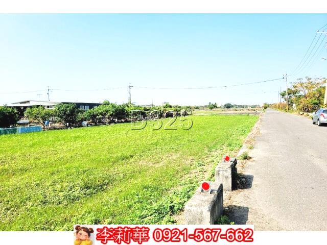 台南西港農地-4