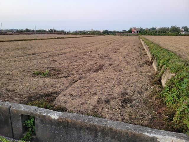 新屋農地-4