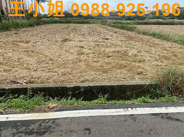 桃園新屋農地-3