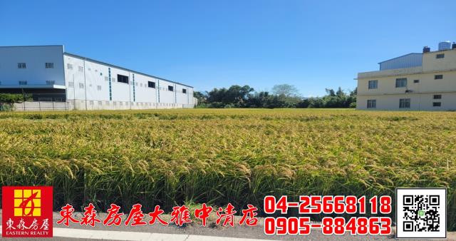 台中神岡農地-5