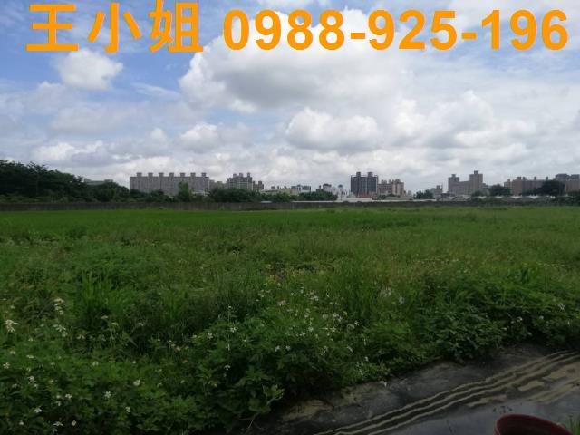 桃園桃園區農地-9