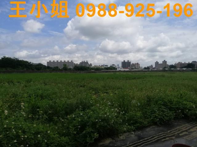 桃園桃園區農地-10