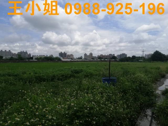 桃園桃園區農地-11