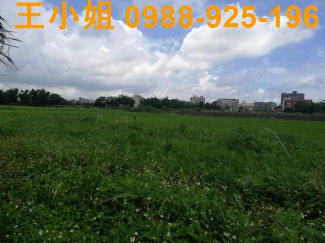 桃園桃園區農地-12