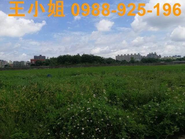 桃園桃園區農地-13