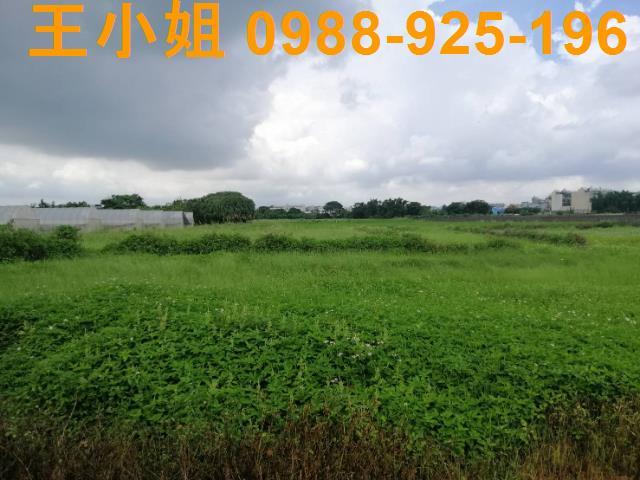 桃園桃園區農地-14