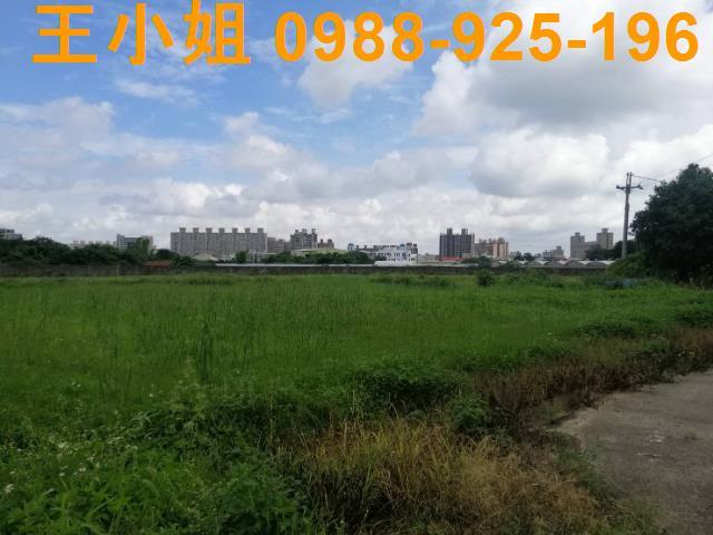 桃園桃園區農地-1