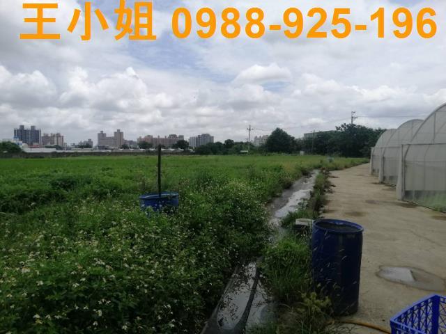 桃園桃園區農地-2