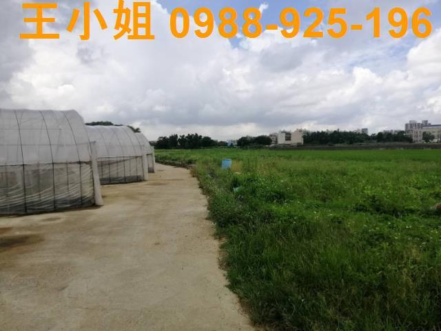 桃園桃園區農地-3