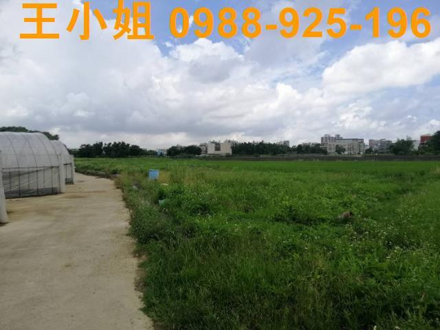 桃園桃園區農地-4