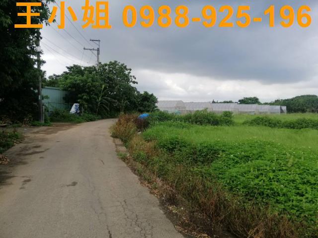 桃園桃園區農地-5