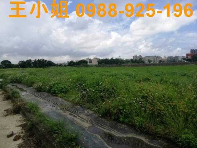 桃園桃園區農地-6