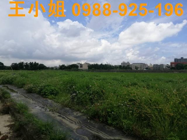 桃園桃園區農地-7