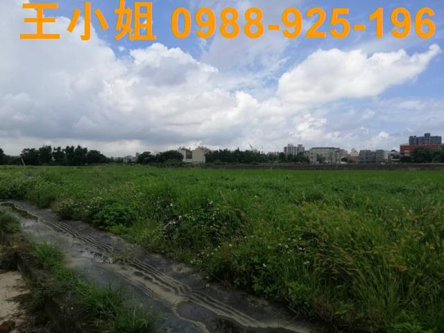 桃園桃園區農地-8