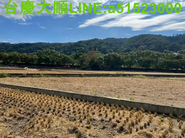 新竹新埔農地-9