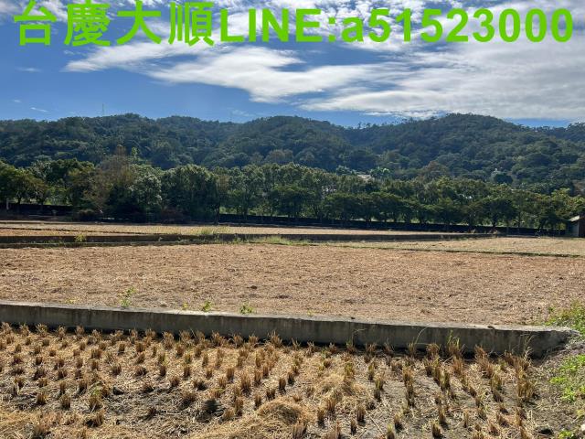 芎林全平坦橘園