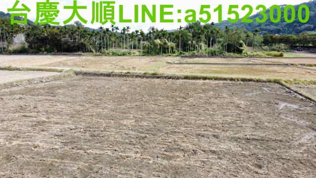 新竹新埔農地-8