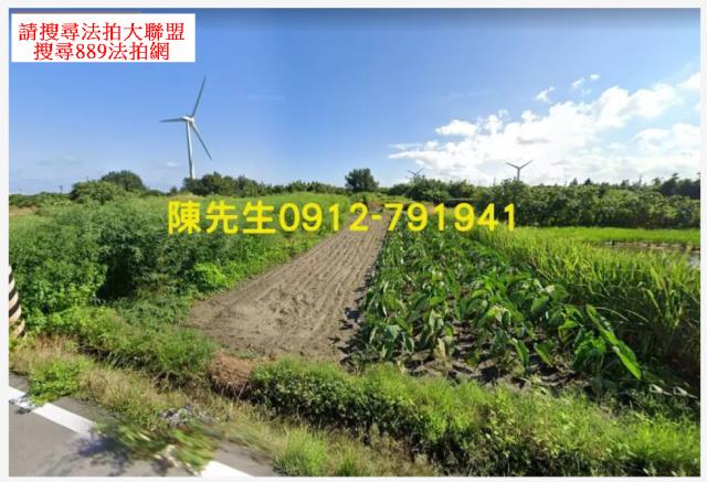 法拍大安海墘國小農地20721坪