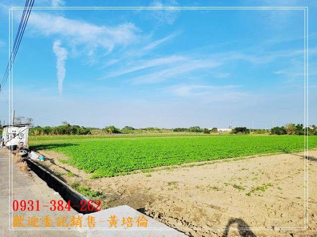 台南培倫房屋土地王,