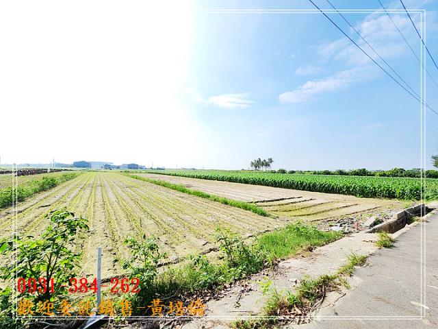 海寮近國8方正農地