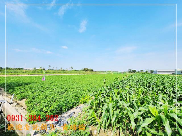 台南培倫房屋土地王