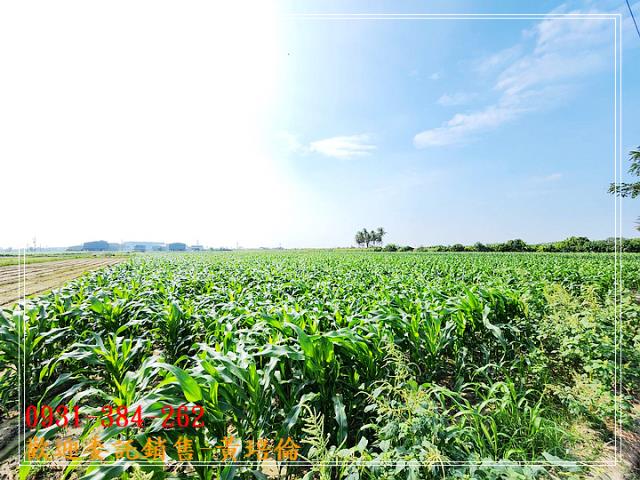 海寮近國8方正農地