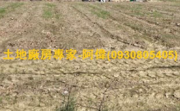 高雄大寮農地-0