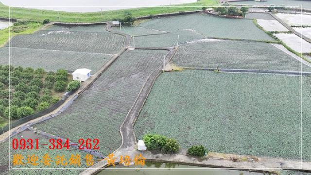 葫蘆埤９分３超值農地