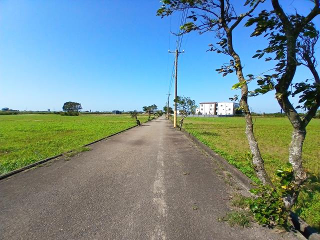 桃園新屋農地-2