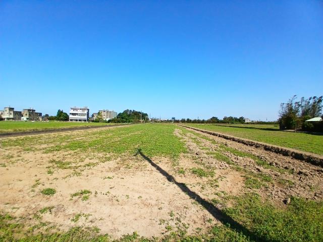 桃園新屋農地-6