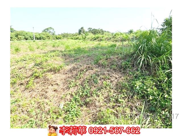 歸仁農地-5