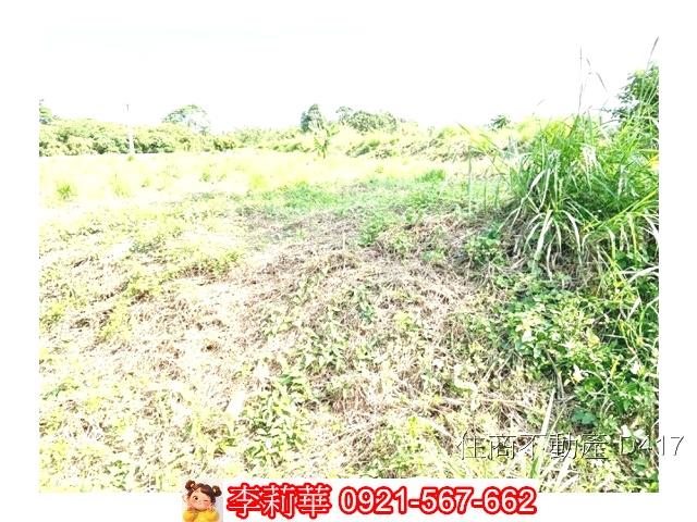歸仁農地-6