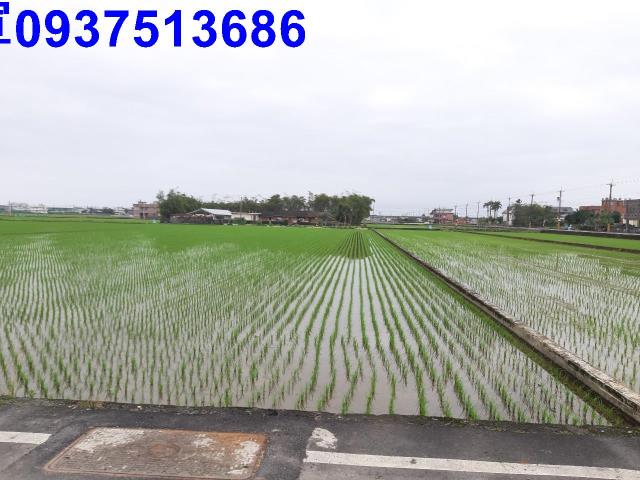 宜蘭縣宜蘭市南橋一段農地出售