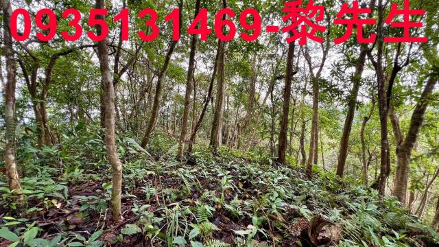 新竹橫山農地-10