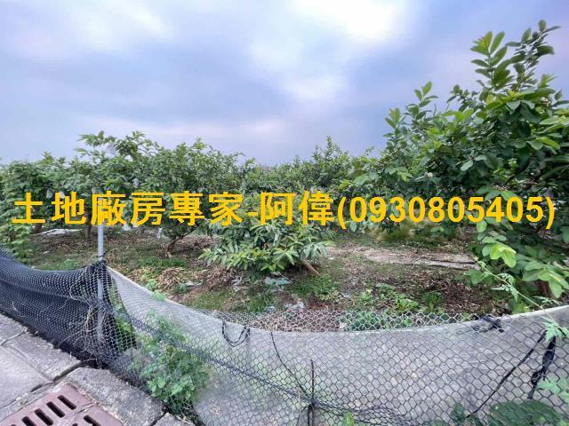 高雄大樹農地-0