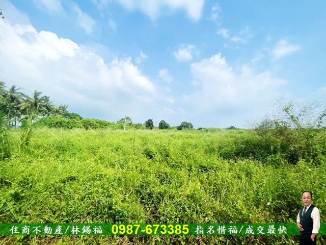 台南歸仁農地-1