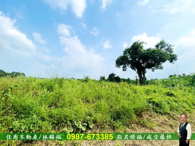 台南歸仁農地-2