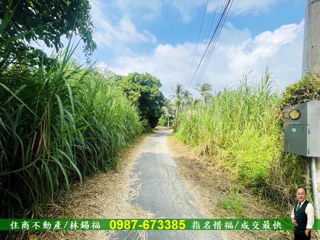 台南歸仁農地-5