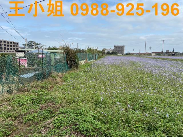 桃園中壢農地-9