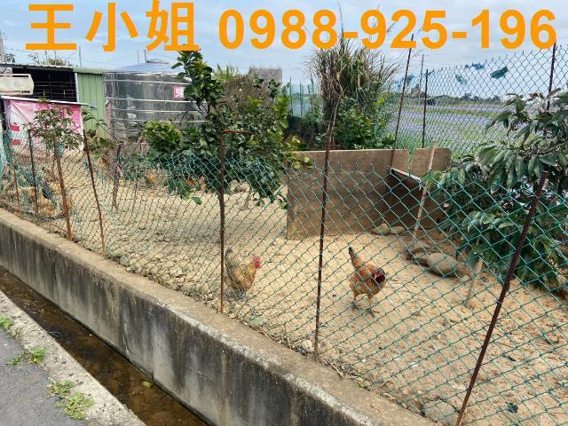 桃園中壢農地-6