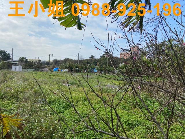 桃園中壢農地-7