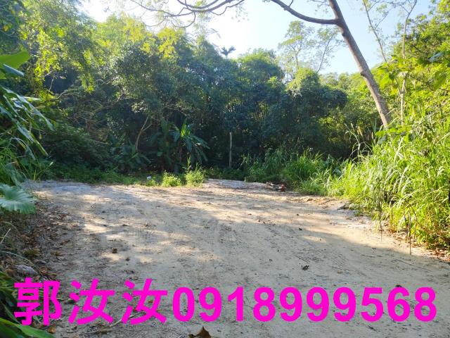 台南白河農地-1