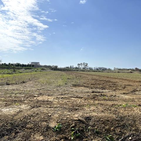 新屋文化路大牛欄一般農業區農地出售