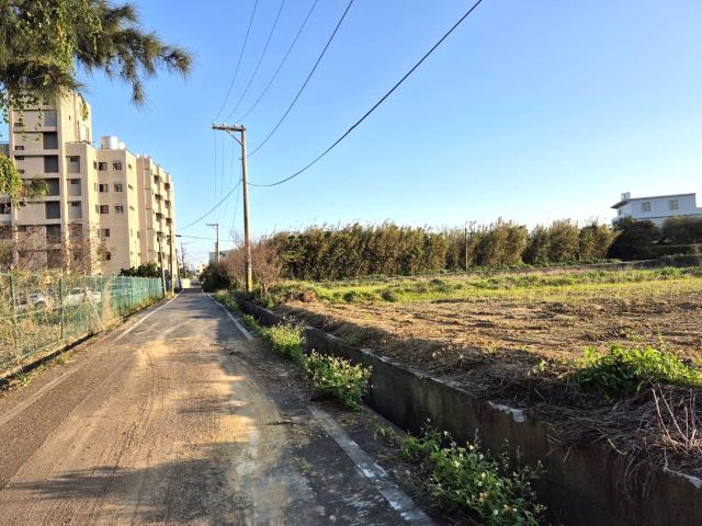 桃園新屋農地-3