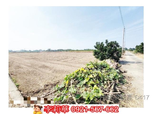 台南東山農地-9
